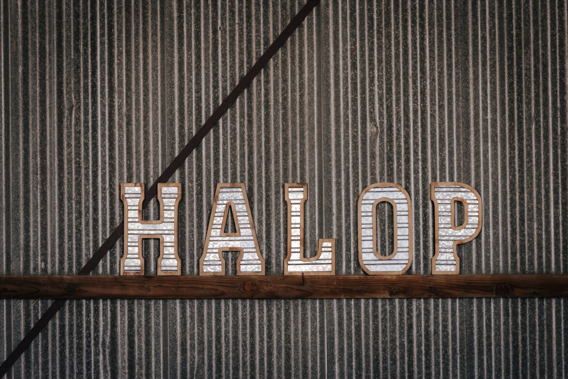 Final-6459.JPG -  by Hallop